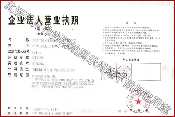 龍海起重成套設(shè)備搬運工具營業(yè)執(zhí)照