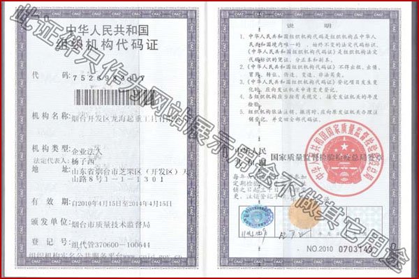 龍海起重成套設(shè)備搬運工具組織結(jié)構(gòu)代碼證